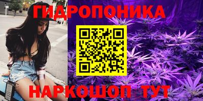 молекула духа Гудермес